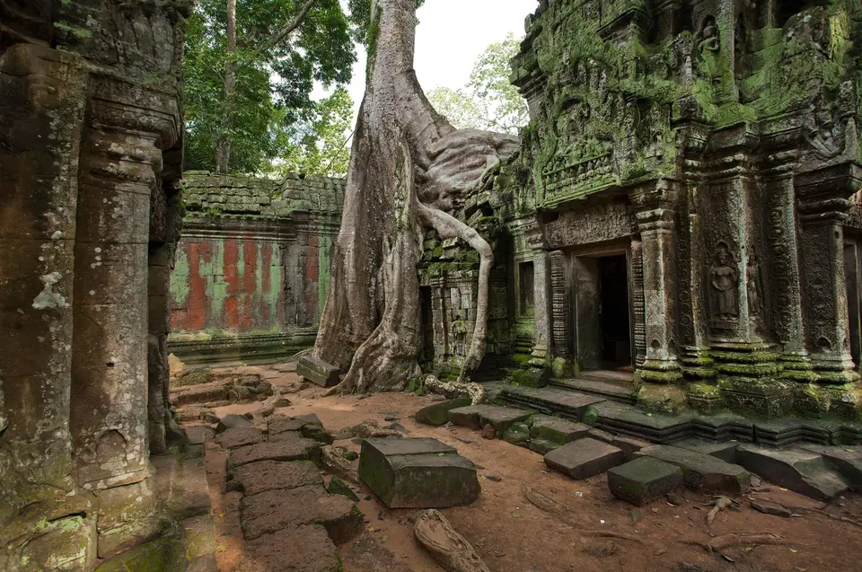 Чудеса света храм в джунглях камбоджи