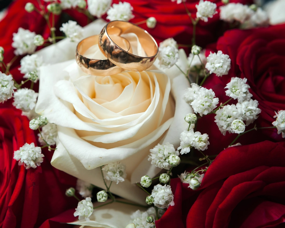 Свадебные розы