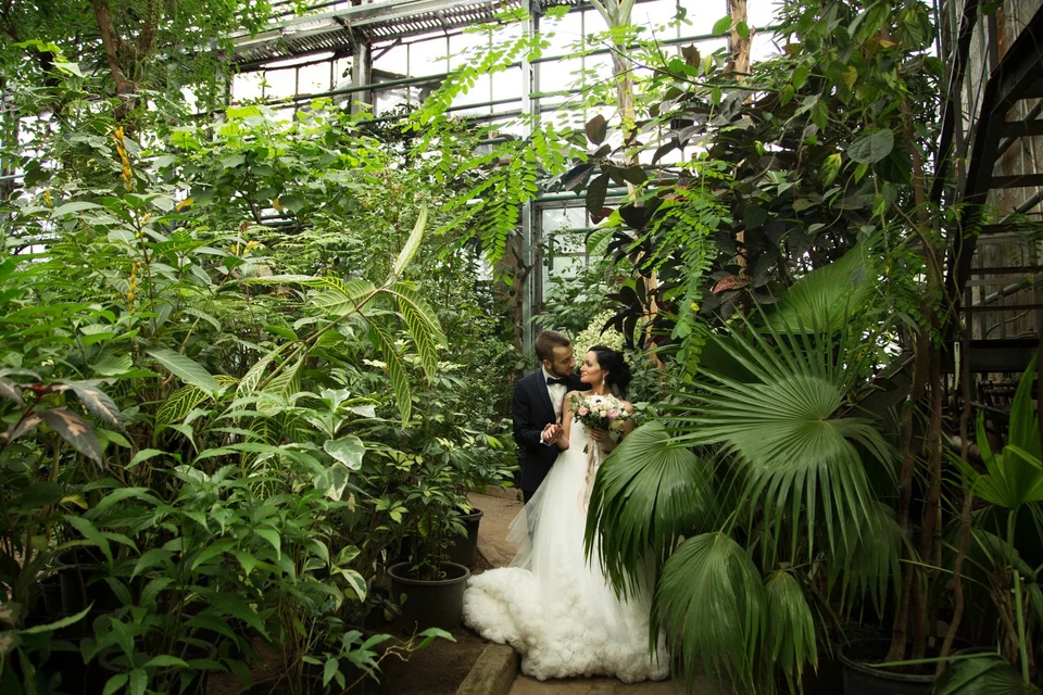 Оранжерея ботанического сада свадебная фотосессия