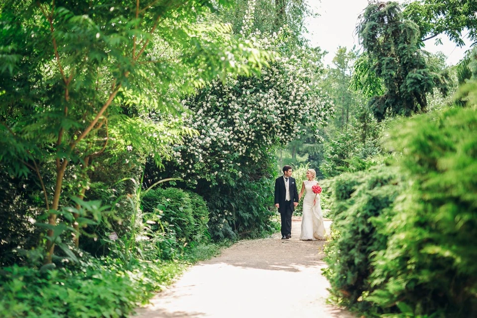 Ботанический сад мгу аптекарский огород свадьба