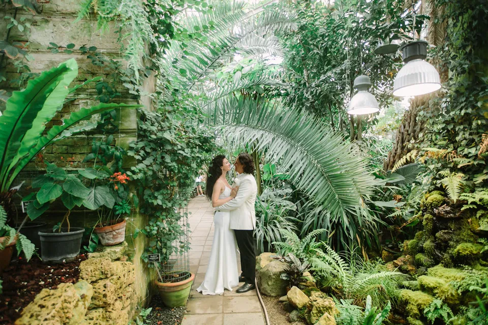 Оранжерея ботанического сада мгу свадьба
