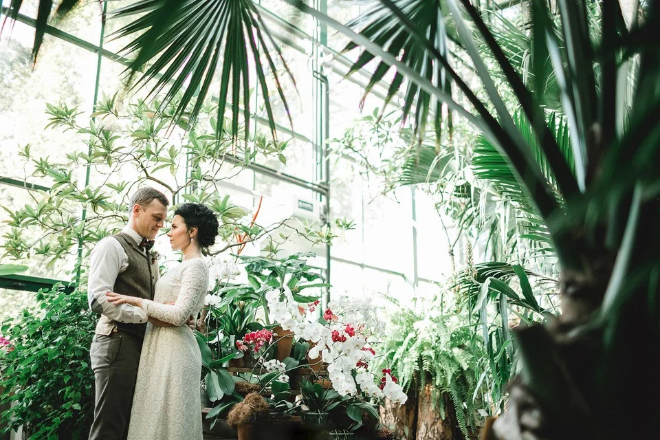 Оранжерея таврического сада свадьба