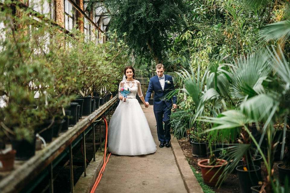 Оранжерея ботанического сада мгу свадьба