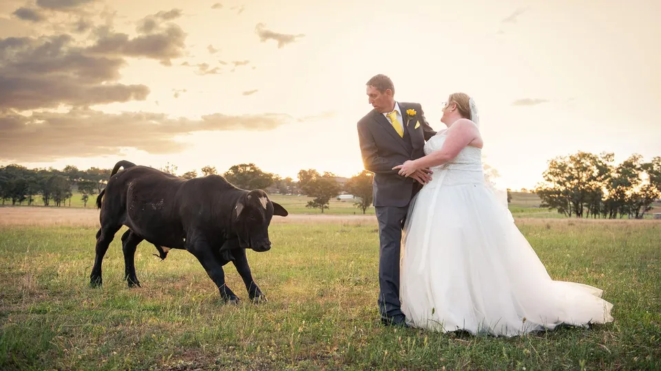 Свадьба в поле