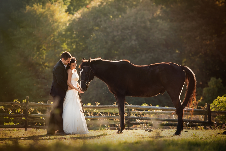 Свадебная фотосессия с двумя конями