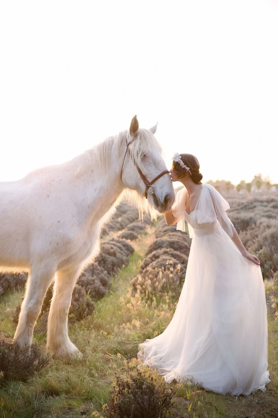 Свадьба на лошадях