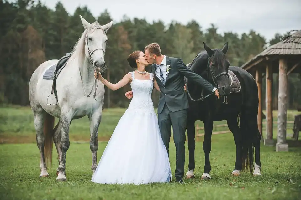 Белая лошадь загородный клуб свадьба