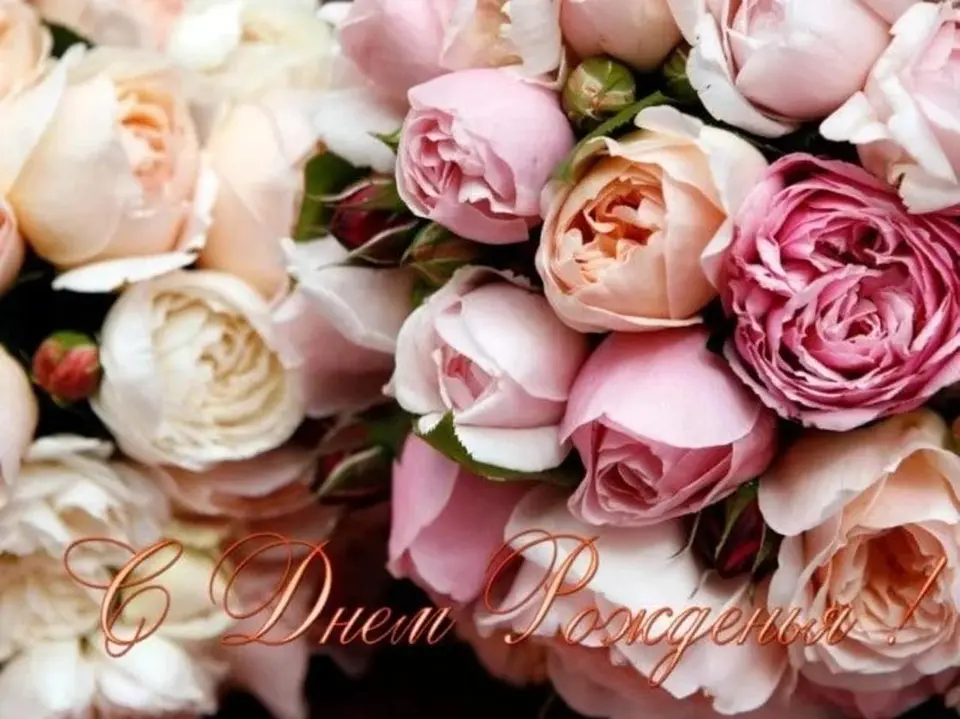 Розы красивые открытки