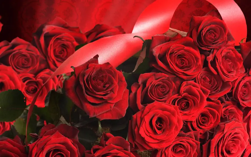 Розы букет красные