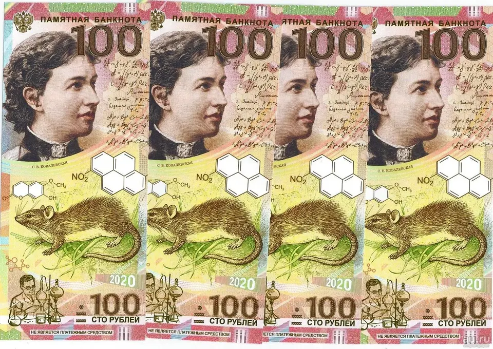 100 рублей 2020 софья ковалевская