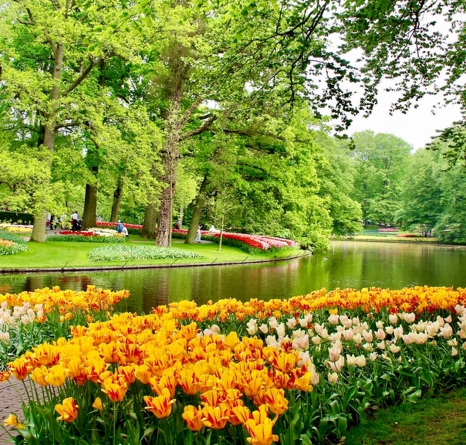 Цветочный парк