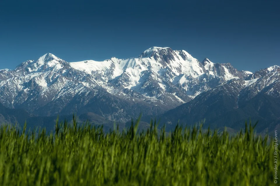 Алматинские горы
