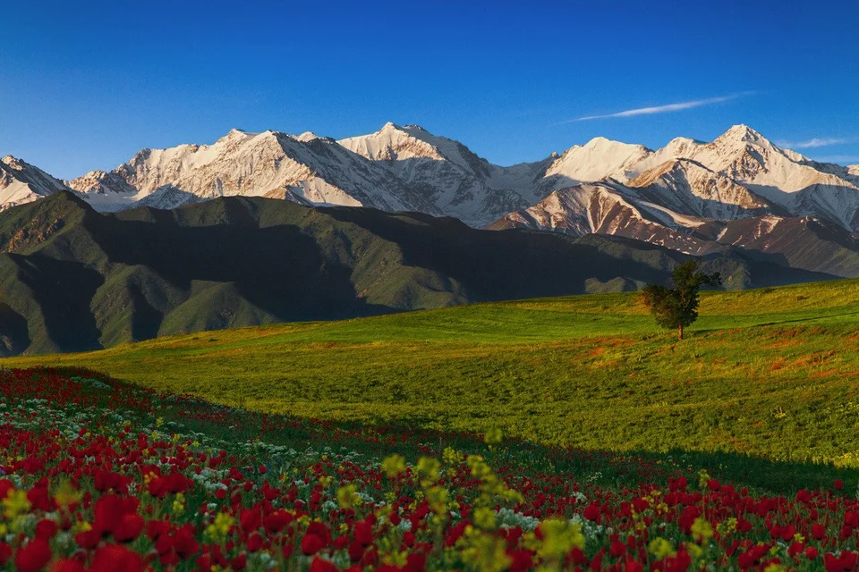 Пейзажи киргизии