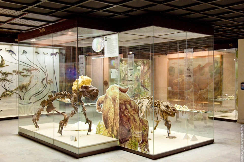 Государственный дарвиновский музей