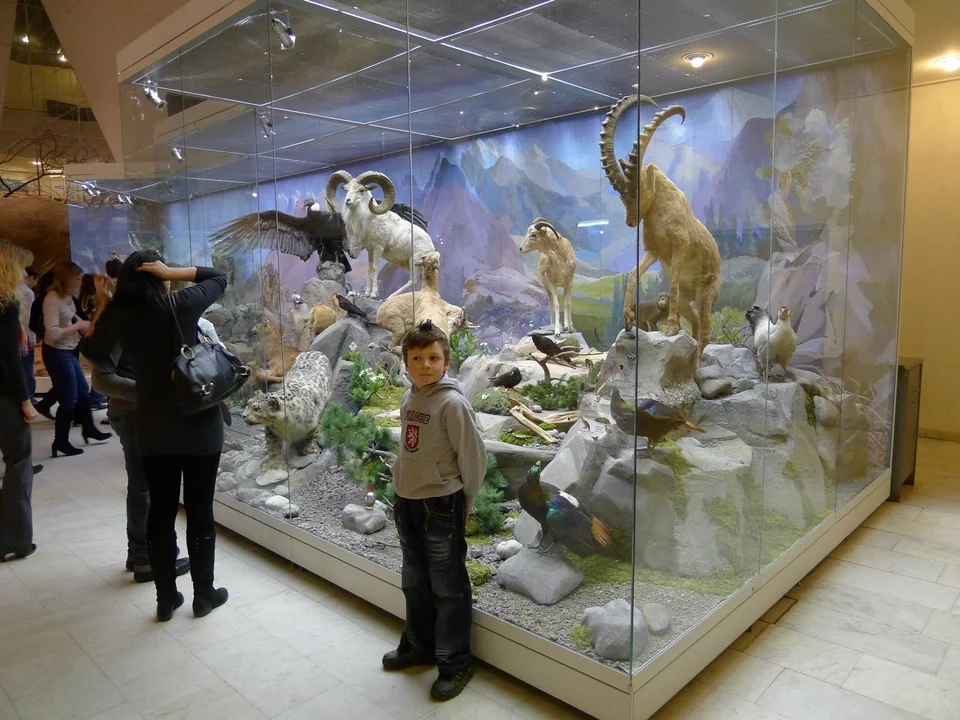 Дарвинский музей в москве