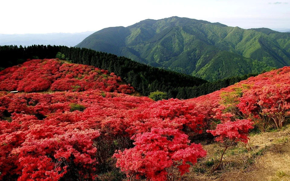 Япония природа