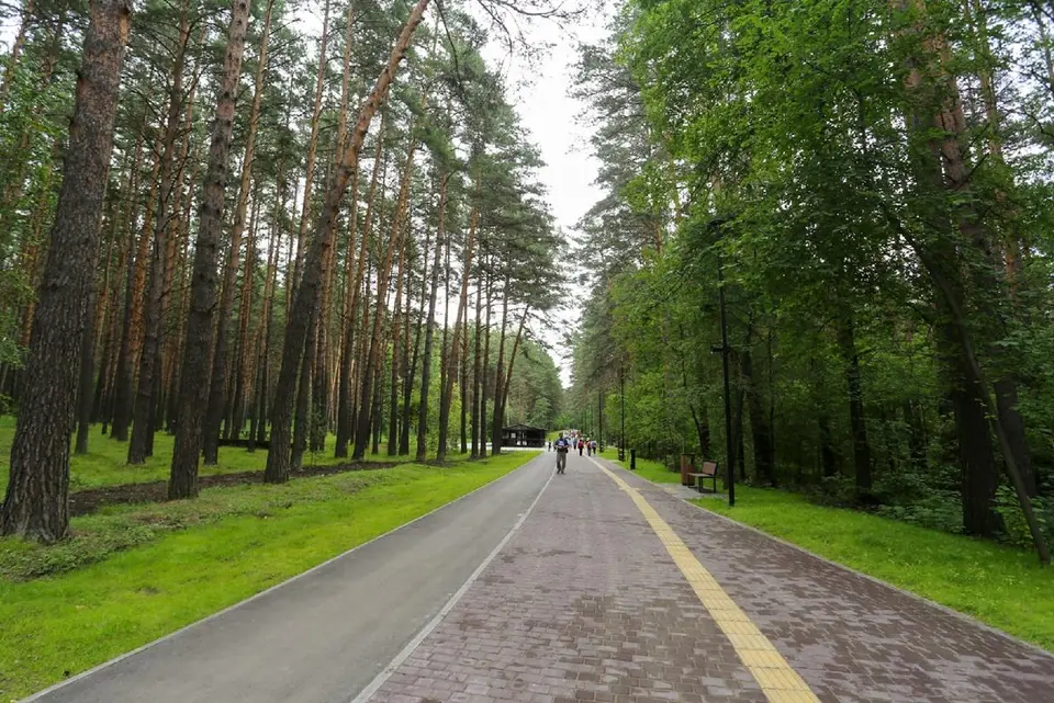 Заельцовский парк новосибирск 2022
