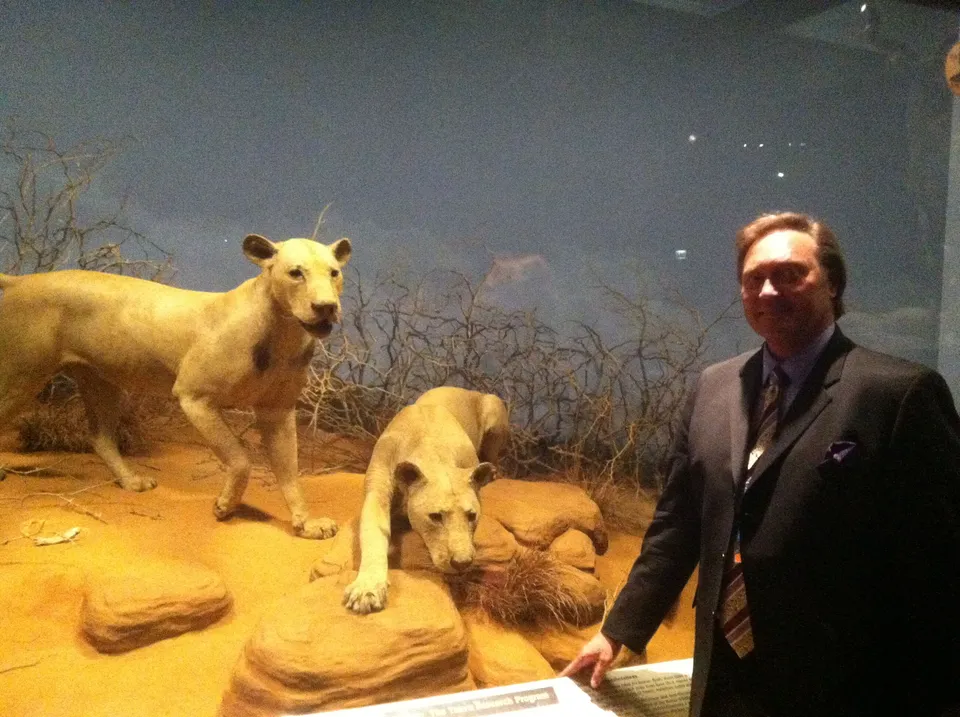 Музей филда в чикаго львы людоеды
