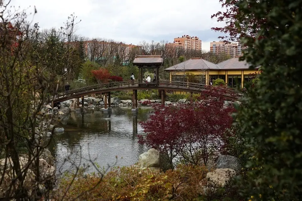 Японский сад в парке галицкого