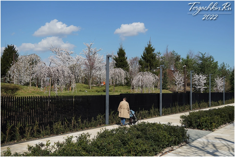 Японский сад в парке галицкого в краснодаре