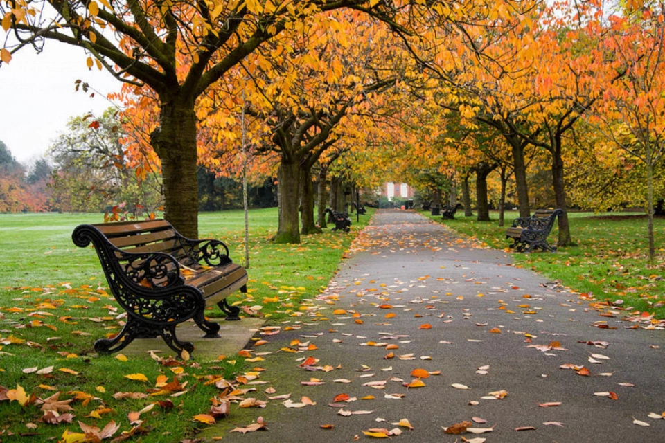 Осенний парк скамейка
