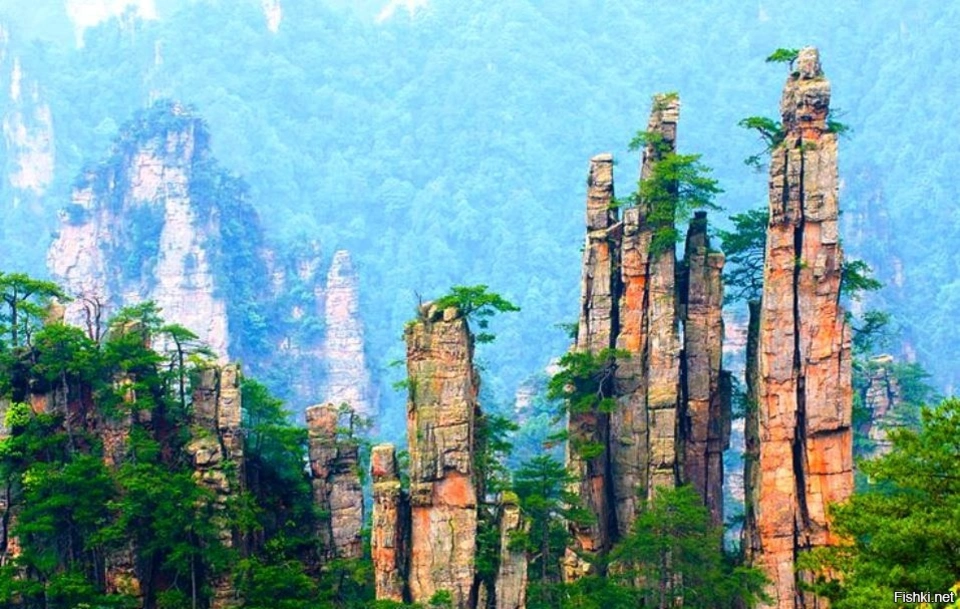 Национальный парк чжанцзяцзе китай