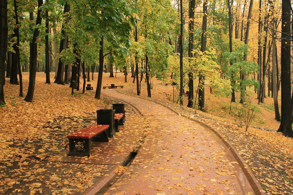 Парк горького казань осень