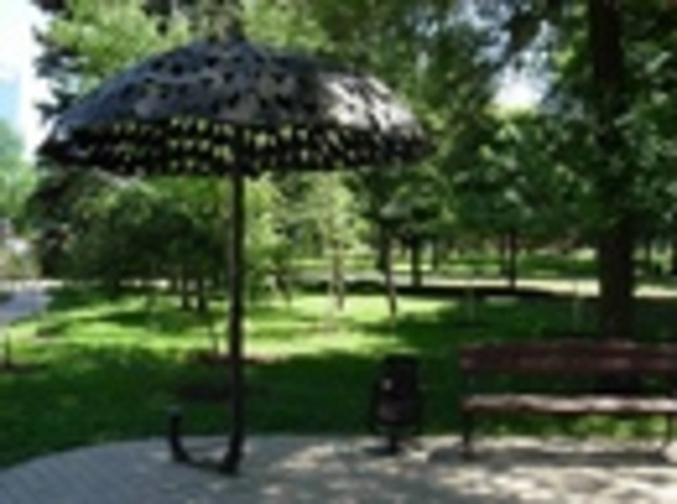 Зонты в парках