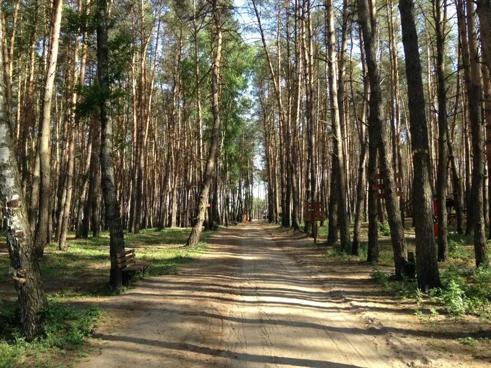 Белгород пикник парк